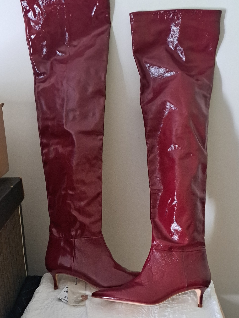Zara Women's Over-the-Knee Pointed-Toe Boots in Burgundy